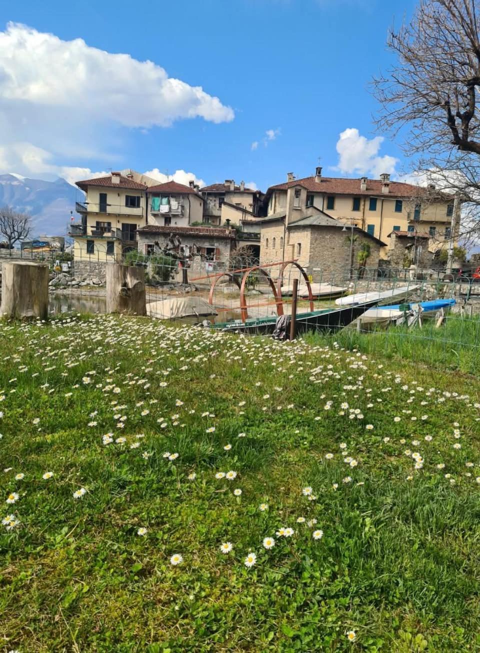 Apartment L'Ulivo Lake View In Private Street Lierna Εξωτερικό φωτογραφία